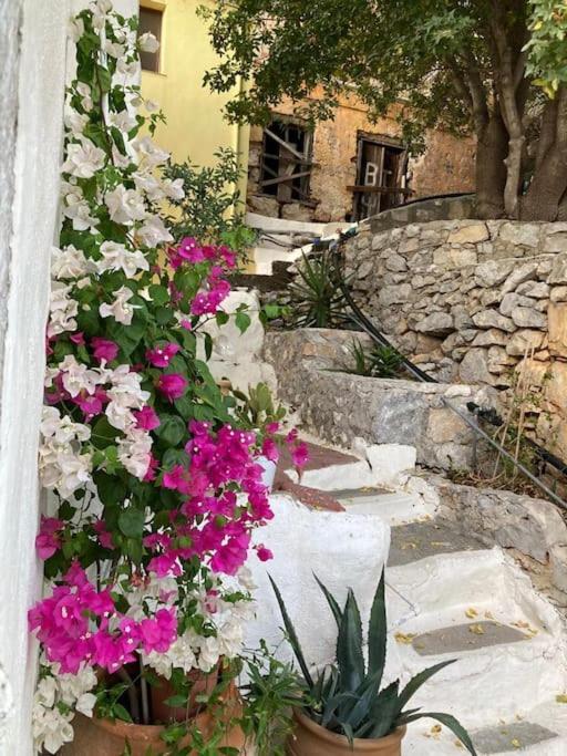 Maison Avec Terrasses Et Vues Σύμη Εξωτερικό φωτογραφία
